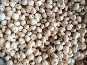dry-makhana-500x500[1]